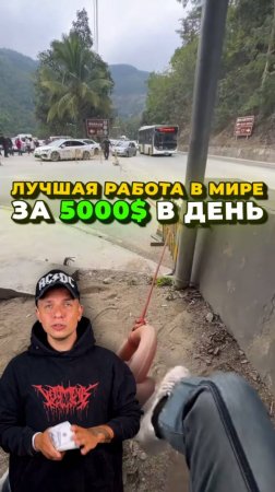 Работа за 5000 в ДЕНЬ! Это Реальность или Миф?