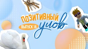 Как худеют после праздников и как защищают урожай. "Позитивный улов"