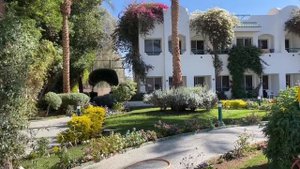 Falcon Hills Шарм Эль Шейх. Отдых в 2022 году