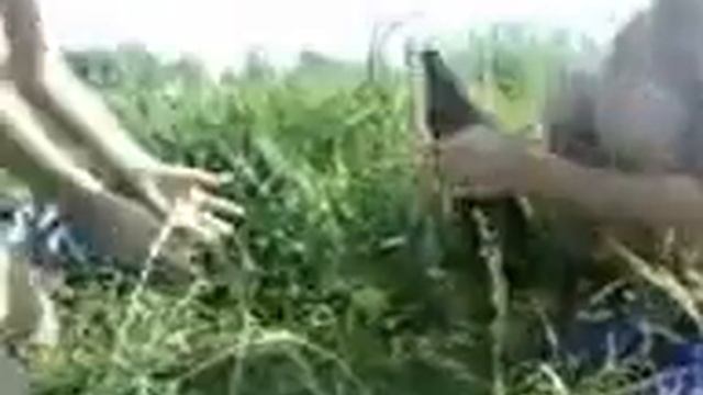 Квас 2 :D смотреть онлайн