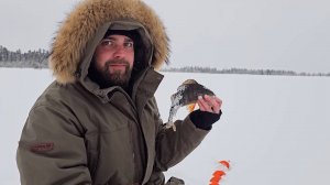 Рыбалка на окуня  в Рождество