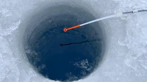 ОСТАНОВИЛ КИВОК...КОНЕЦ РЫБАЛКИ на СВАЛЕ УДИВИЛ! Та самая глубина. Зимняя рыбалка