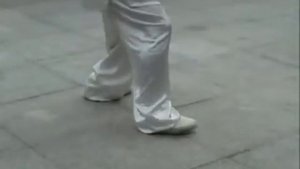 Юн чун бай хе цюань Він чун бак хок кюн