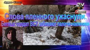 Слова пленного ужаснули.