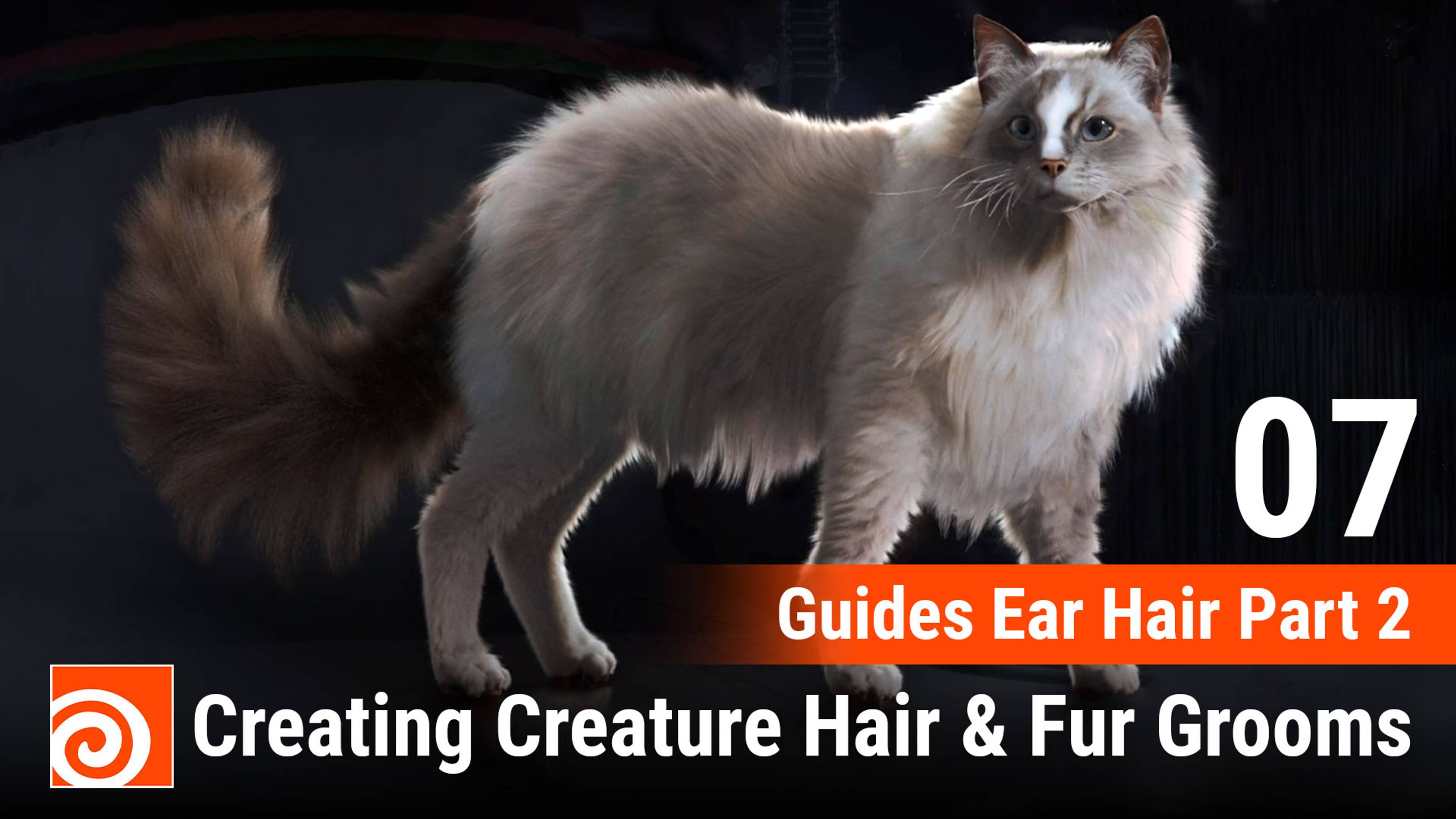 Creating Creature Hair & Fur Grooms in Houdini
07 Guides Ear Hair Part 2