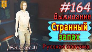 Странный запах. Fallout 4. #164. Прохождение. Выживание. Русская озвучка.