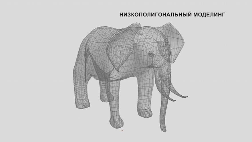 Шестакова Дарья / 1 год обучения