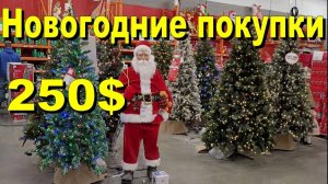 США. Новогодние покупки на 250 долларов
