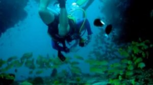 Sail away with me honey -  David Gray