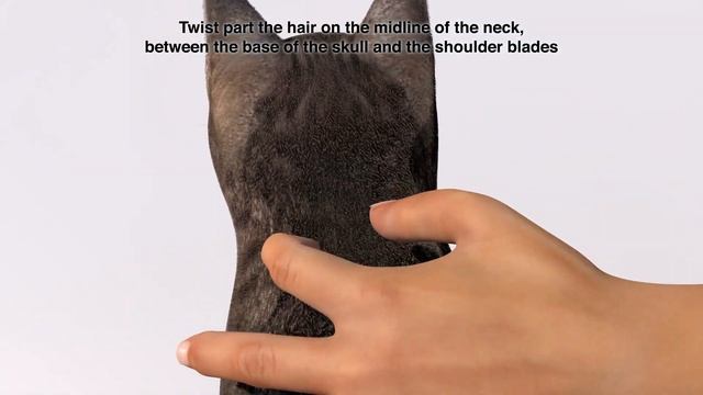 Broadline Mode of application смотреть онлайн