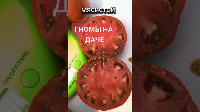 Гномы на даче, Урожайная удача