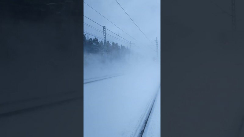 Ласточка Скрылась в снегу