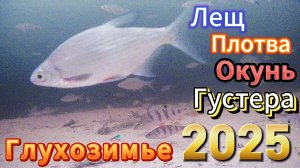 ОБ этой Лунке Только Мечтать! МЕСТО ВЫБРАНО КАК ВСЕГДА НЕ ЗРЯ БЫЛ ОКУНЬ ЛЕЩ ПЛОТВА ГУСТЕРА