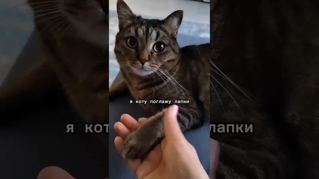 Способ привлечение денег
приметы