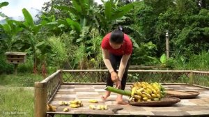 Harvest snake gourd and bring it to the market to sell - Make stuffed gourd to eat | Trieu Mai Huong