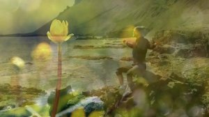 Я ищу свои крылья - песня клип о духовном поиске новинк