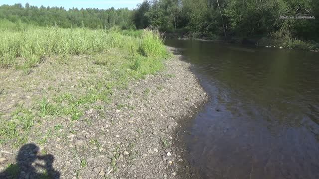 Золотой берег.