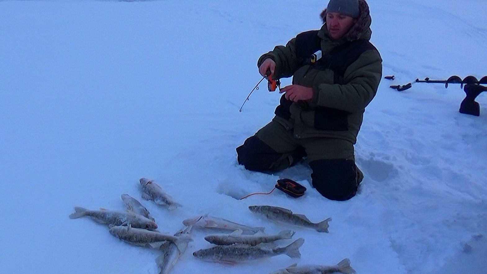 РЫБАЛКА НЕ ДЛЯ СЛАБОНЕРВНЫХ! ДА СКОЛЬКО ЕГО ТУТ!СТОЛЬКО Я ЕЩЕ НЕ ЛОВИЛ!Рыбалка на судака смотреть онлайн