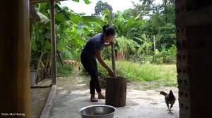 Harvesting Vegetables to Sell at the Market - Preparing Dishes from Vegetables. Trieu Mai Huong