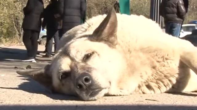 Редко но метко смотреть онлайн