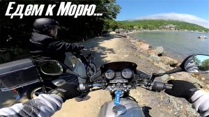 YAMAHA YBR125 SUZUKI BIRDIE Еду с Виктором в б. Муравьиную на новой резине от Петрошина К102 и С109