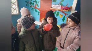 шарики, пузыри, ткань