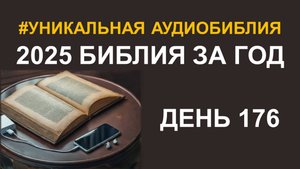 День 176. Библия за год. Библейский ультрамарафон портала «Иисус»