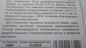 Кабачок Белуха
