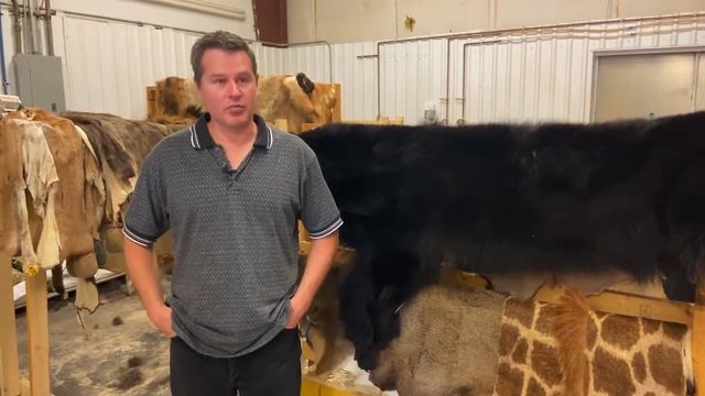 Stockman Bank Montana Rocky Mountain Fur Dressers смотреть онлайн