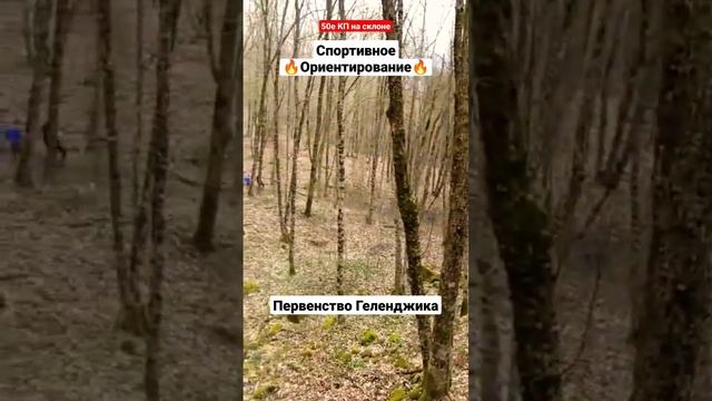 #ориентирование #sport Красота весенних гор около Геленджика