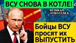 Великая Новоселка в котле! ВСУ просят дать им выйти! Военные сводки 17.01.2025