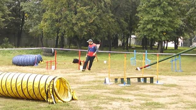 Аджилити А3 Саша и Беня смотреть онлайн