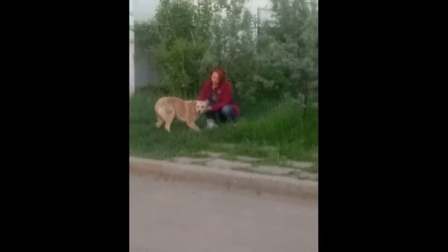 Бейли смотреть онлайн