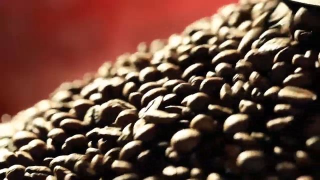 Lino's Coffee Capsule Español смотреть онлайн