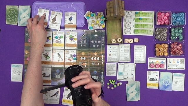 Wingspan: Oceania Expansion | Solo Playthrough (Static Camera) [Part 2]