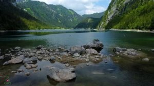 Погрузитесь в мгновенное состояние релаксации🌿 Успокаивающая музыка, подходит для сна,работы #12