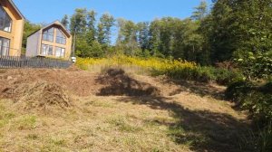 LIPNIKI: нижний участок