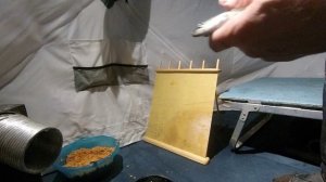 Рипус. Увильды. Поклевало.