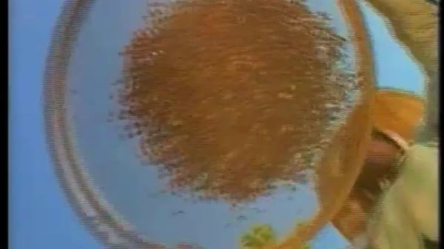 Star Cafe Brazil смотреть онлайн