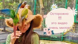 о.Хайнань, деревня Ли и Мяо