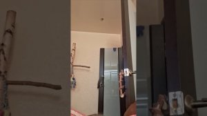 Попугайчик