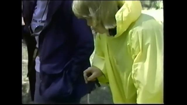 Искусство отслеживания