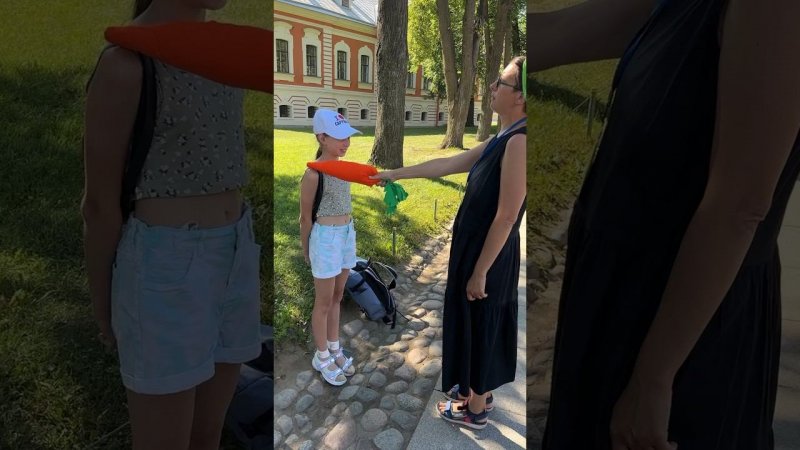 Принцесса морковного ордена
