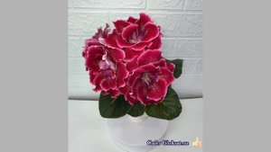 САТ- Великолепная 🌺🌟💞