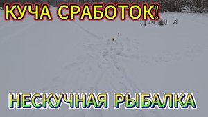 НЕСКУЧНАЯ РЫБАЛКА! ЛОВЛЯ НА ЖЕРЛИЦЫ