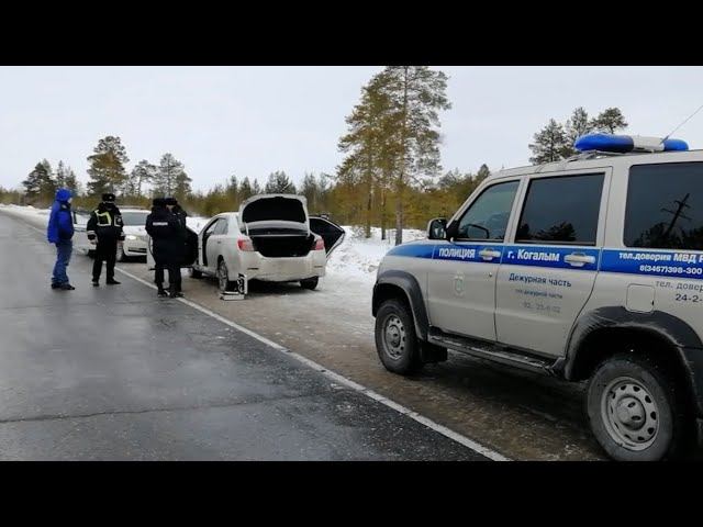 Погоня со стрельбой в Когалыме смотреть онлайн