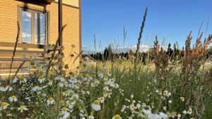 Продажа дома в Большом Гришкино Тверской области