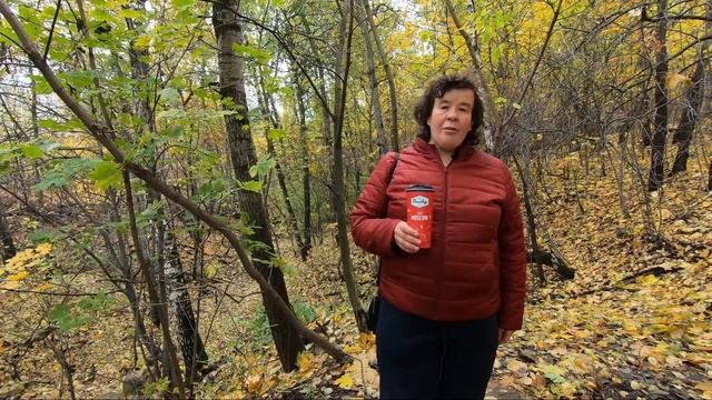 Востряковское шоссе смотреть онлайн