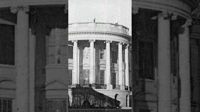 The Mexican-American War||1846||#tamil #facts #trendingshorts #gk #shorts #science смотреть онлайн