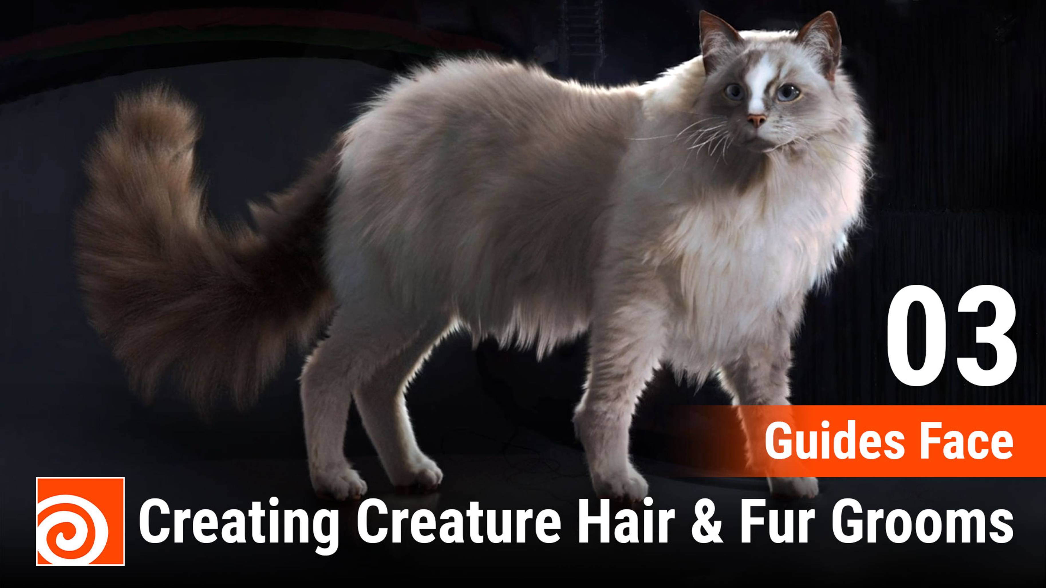 Creating Creature Hair & Fur Grooms in Houdini
03 Guides Face